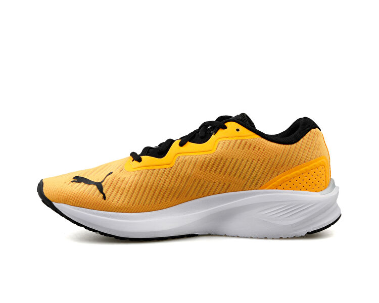 Aviator Profoam Sky