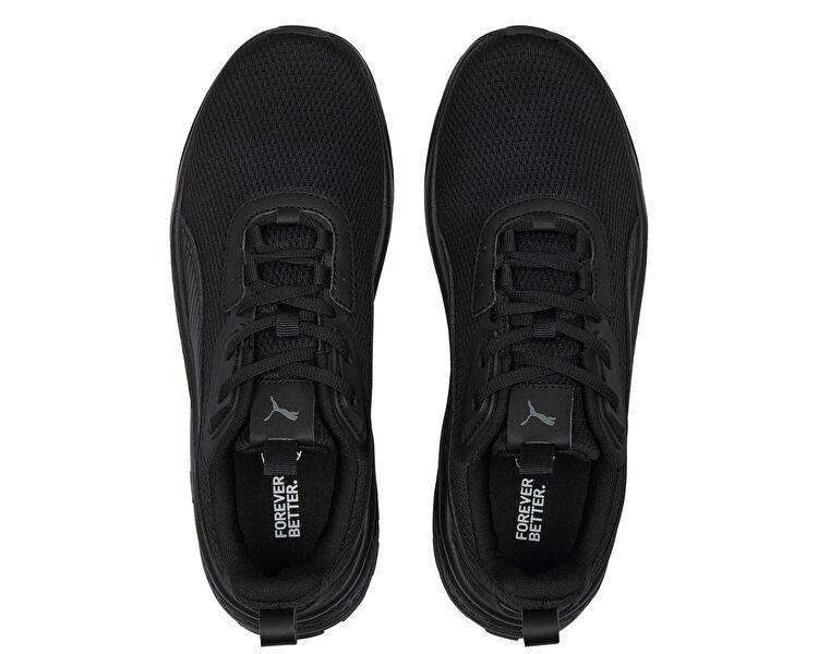 Anzarun Fs 2.0