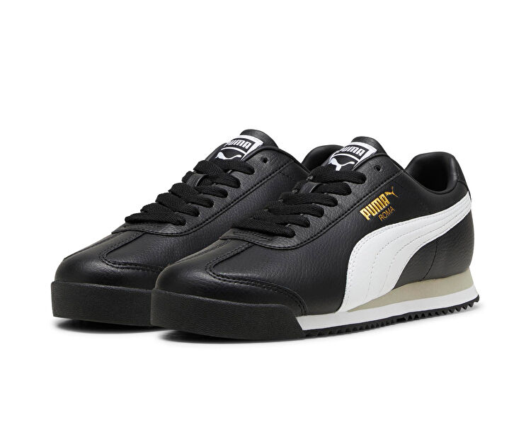 ROMA 24 STANDARD