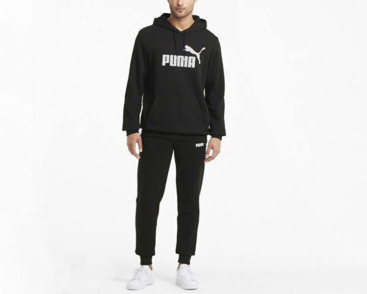 Ess Big Logo Hoodie Tr