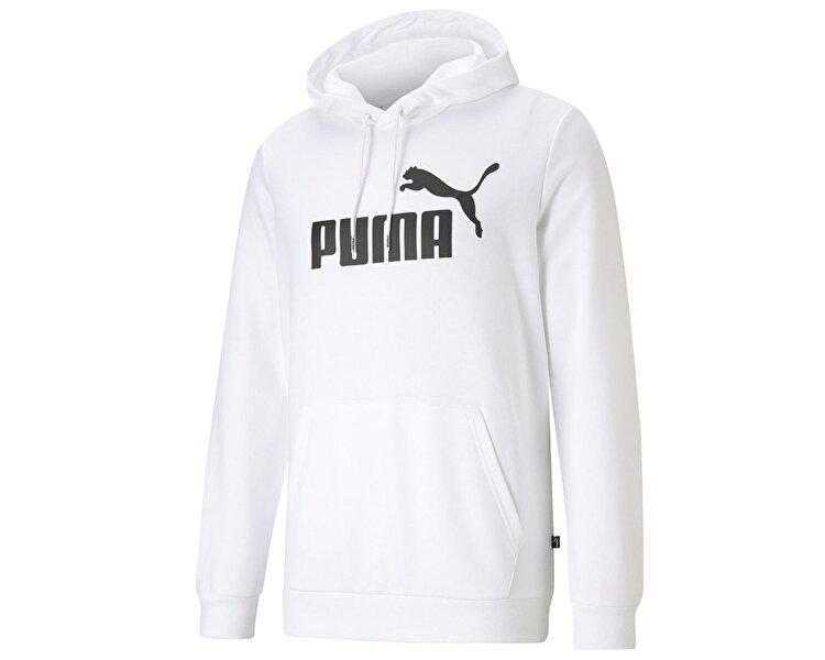 Ess Big Logo Hoodie Tr