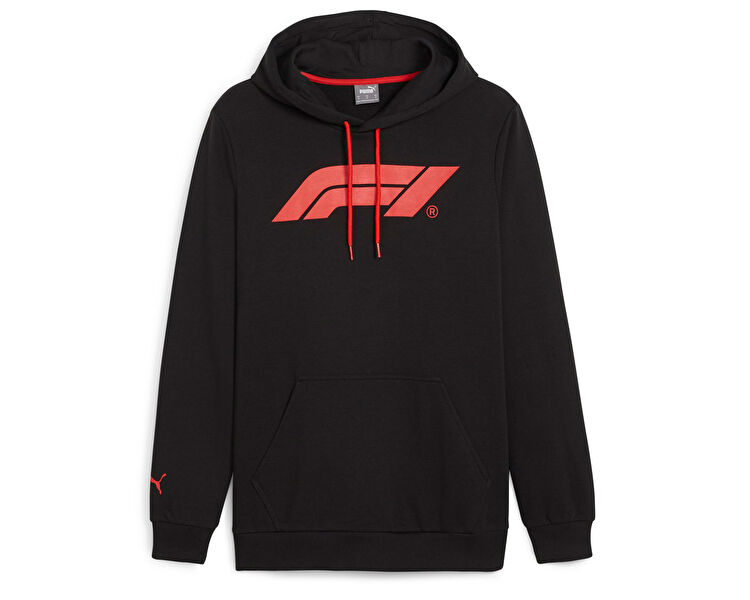 F1 ESS LOGO HOODIE
