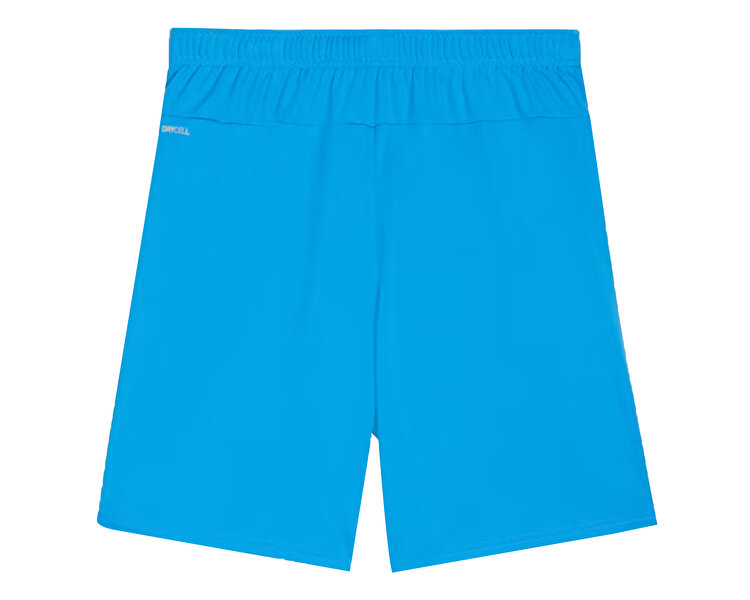 Teamgoal Shorts