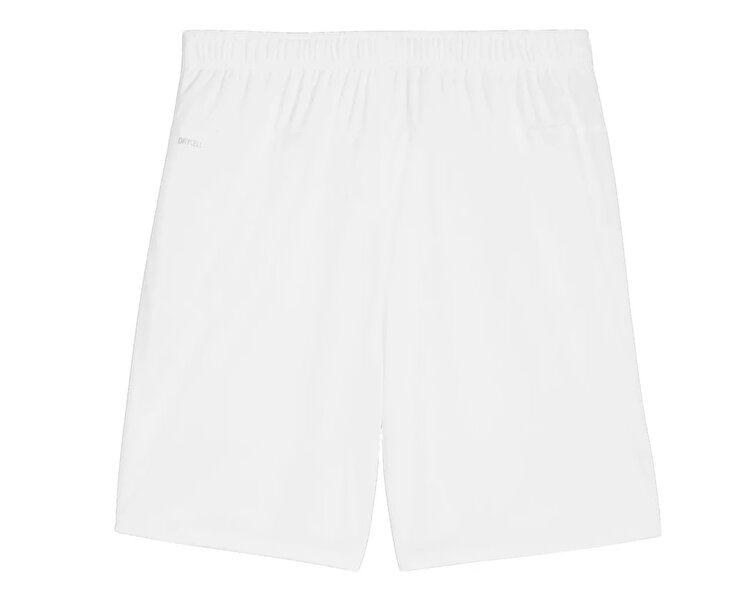 Teamgoal Shorts