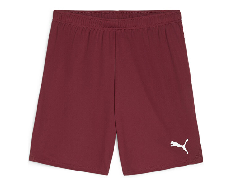 Teamgoal Shorts