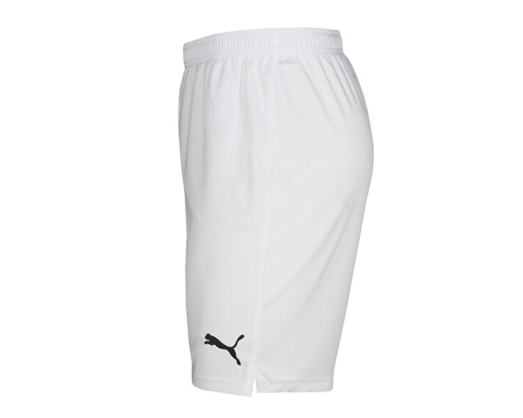 Smu Turkey Shorts