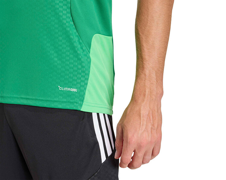 ALIAGA FK FORMA