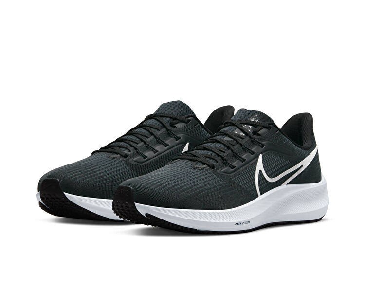 Air Zoom Pegasus 39