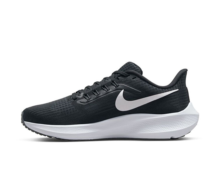 Air Zoom Pegasus 39