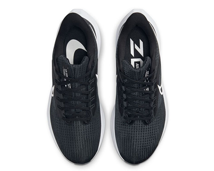 Air Zoom Pegasus 39