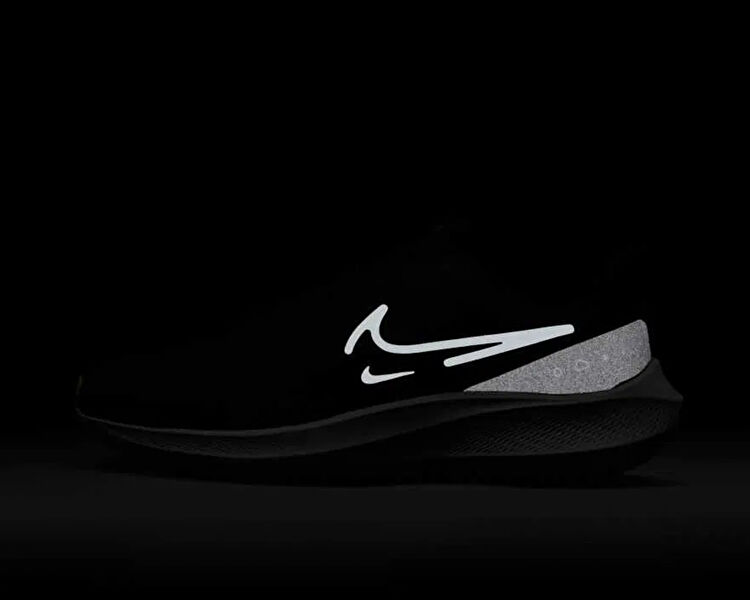 ぽにょ② Nike Erkek Pegasus 39 Shield Siyah DO7625-002