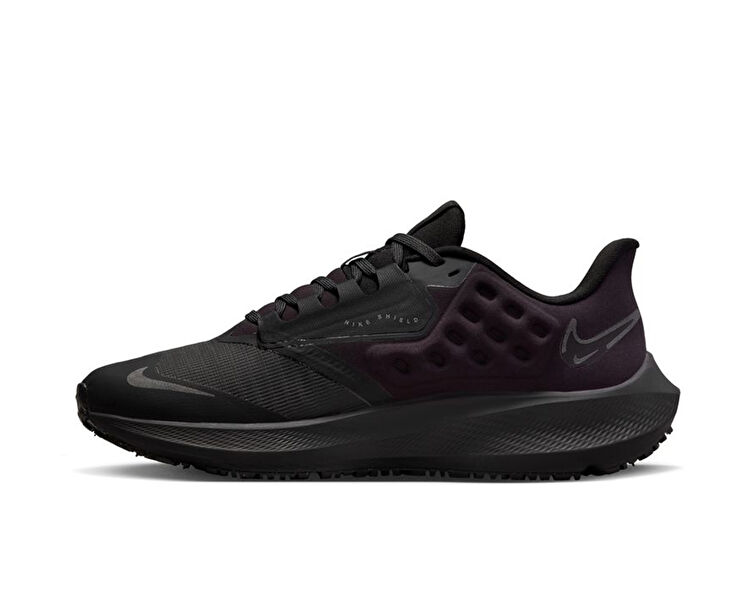 Air Zoom Pegasus 39 Shield