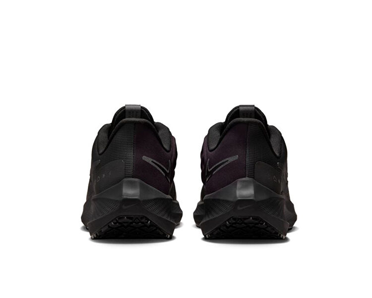 Air Zoom Pegasus 39 Shield