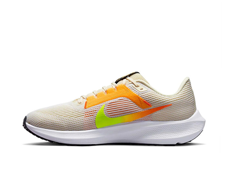Pegasus 40