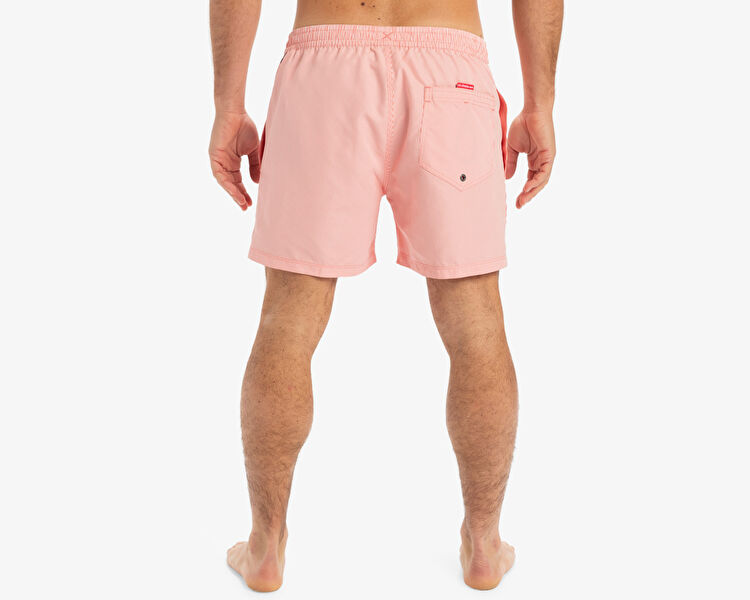 EVERYDAY DELUXE VOLLEY 15