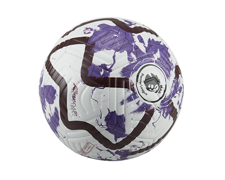 PREMIER LEAGUE ACADEMY