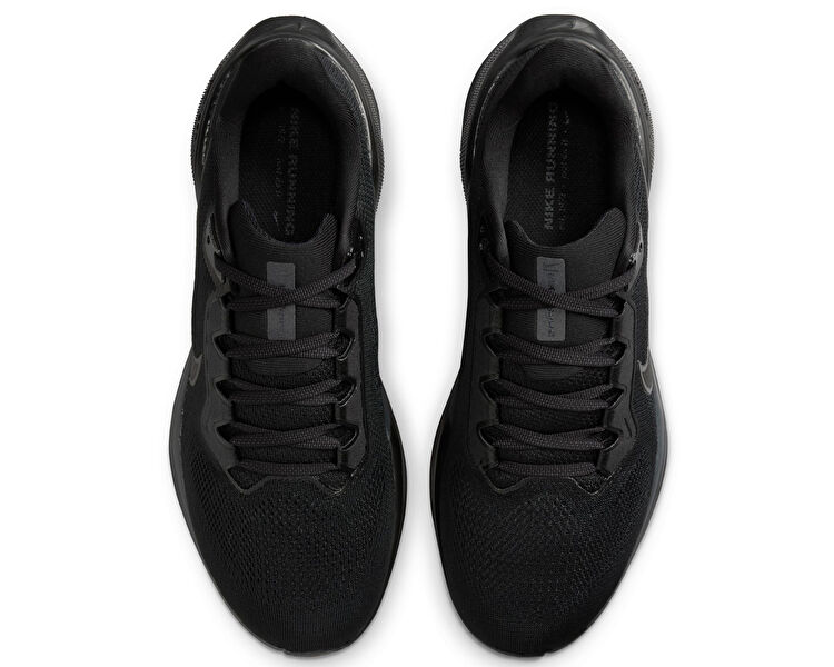 Pegasus 41