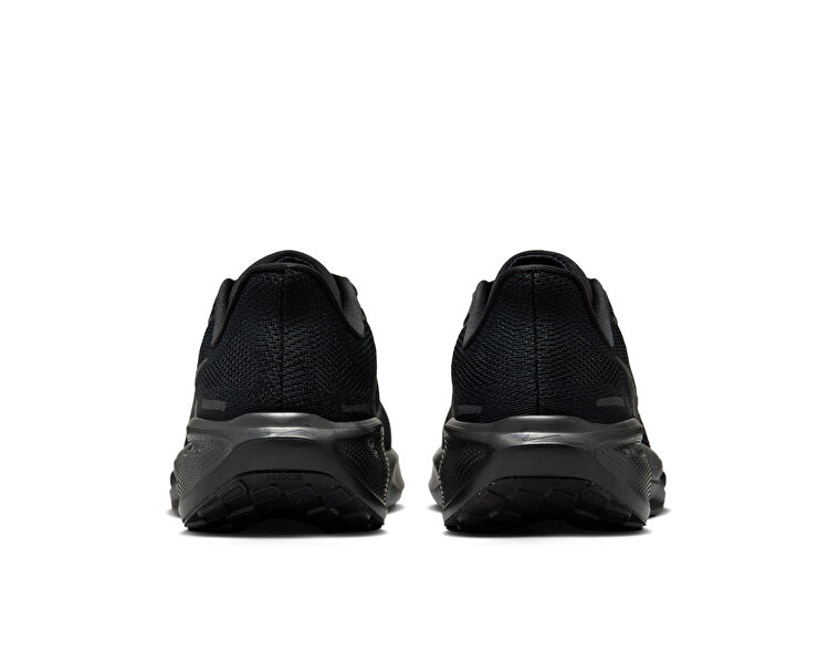 Pegasus 41