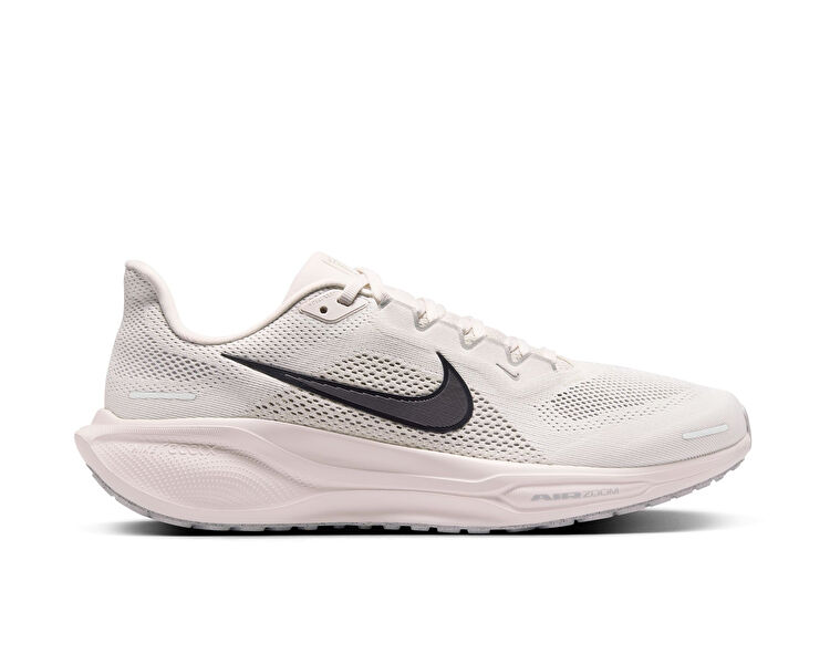 PEGASUS 41