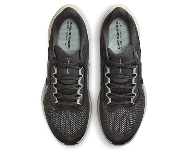 AIR ZOOM PEGASUS 41