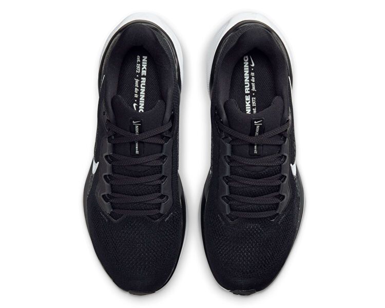 W Pegasus 41