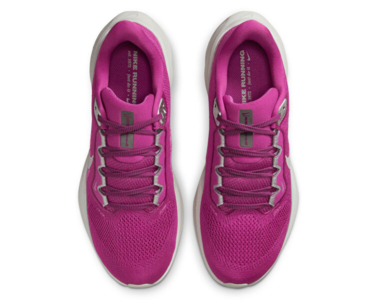 Pegasus 41 Prm