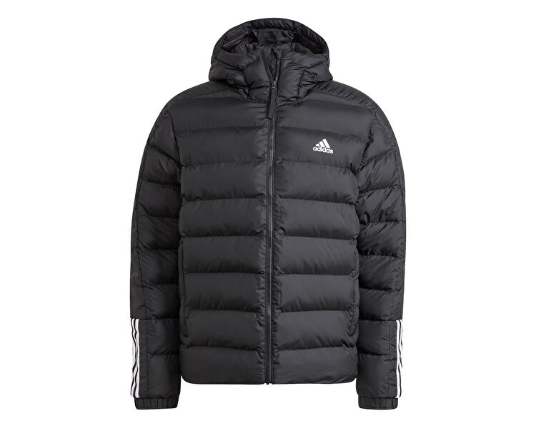Itavic M H Jkt