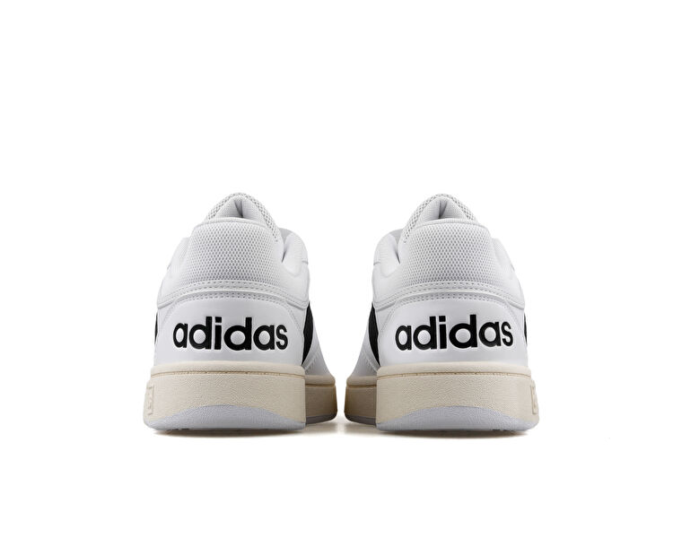 HOOPS 3.0