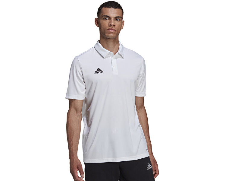 Ent22 Polo