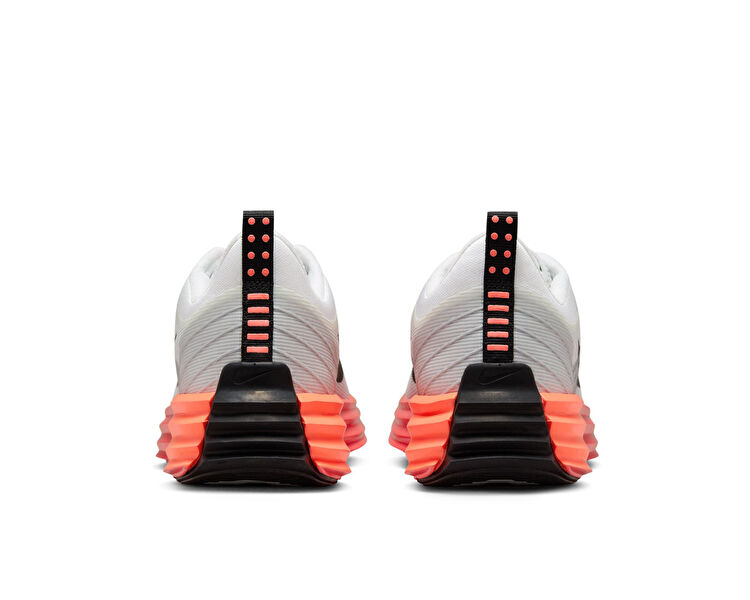 Lunar Roam