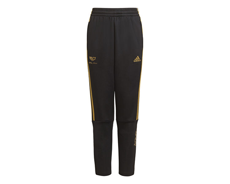 Salah Pant