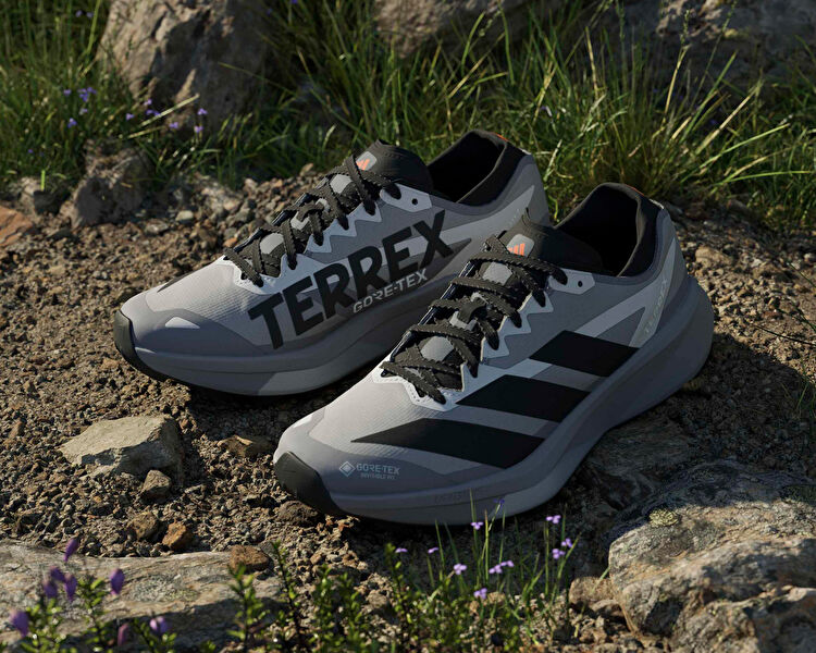 TERREX AGRAVIC GTX 2