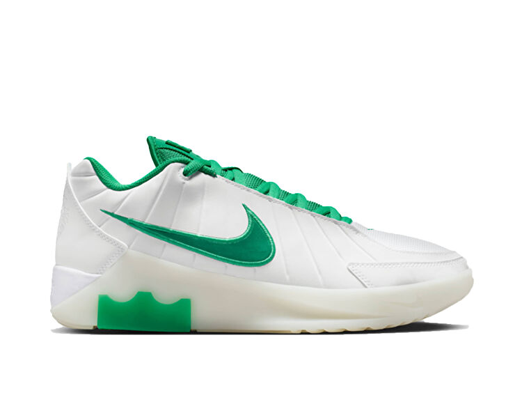 LEBRON WITNESS IX