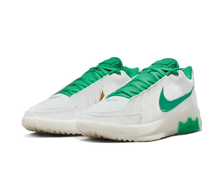 LEBRON WITNESS IX