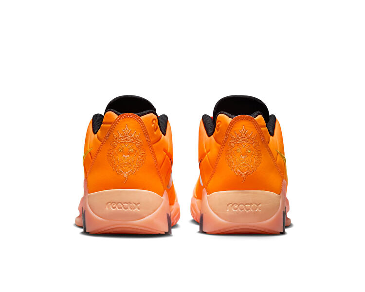 LEBRON WITNESS IX