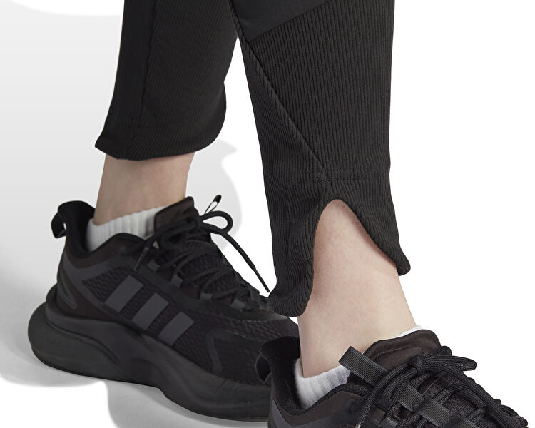 W Z.N.E. Leg