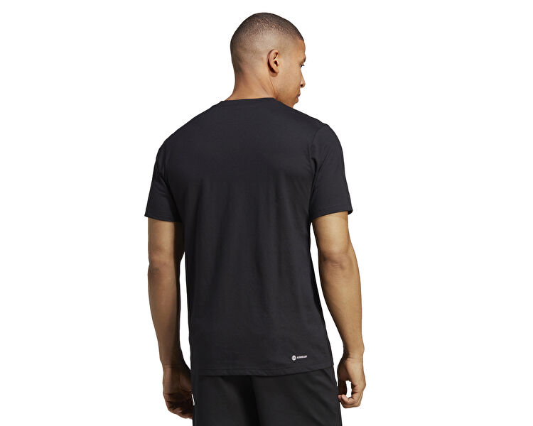 Tr-Es Fr Logo T