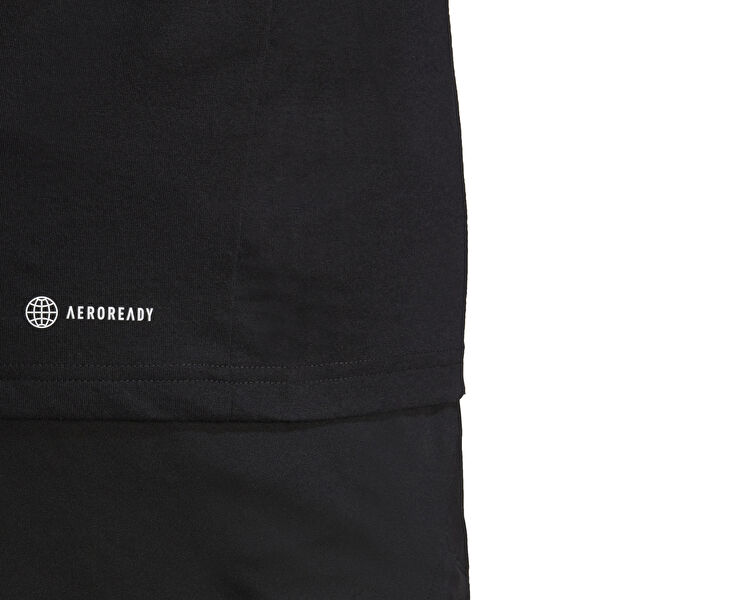 Tr-Es Fr Logo T