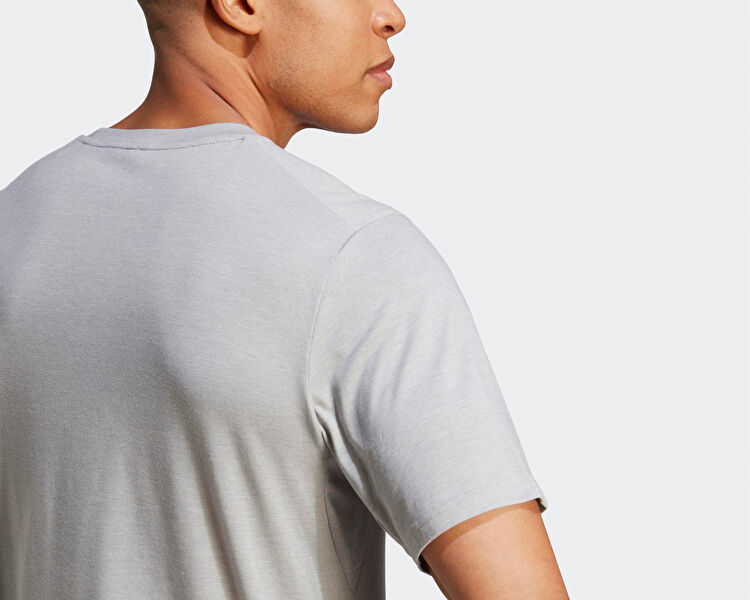 Tr-Es Fr Logo T