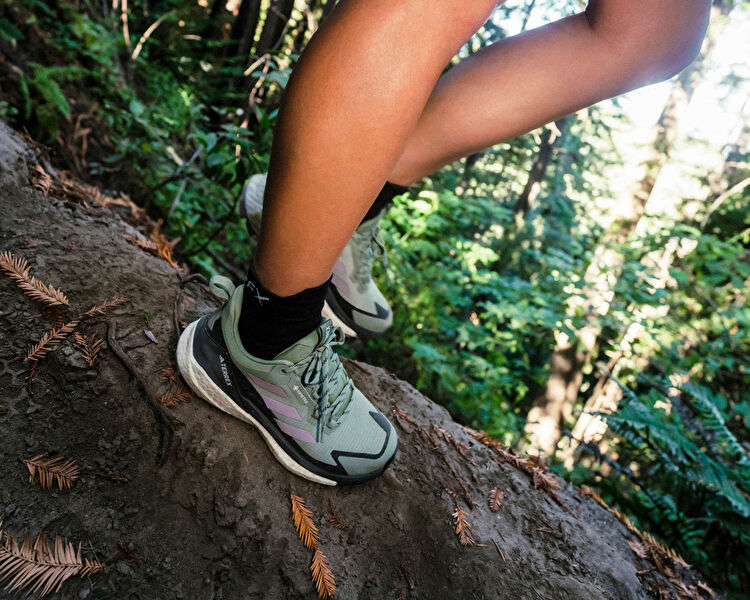Terrex Free Hiker 2 Low Gtx W