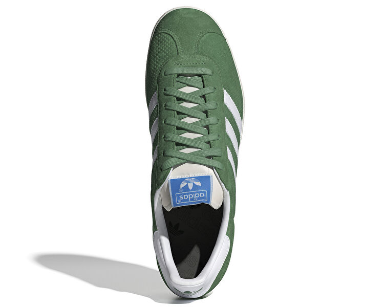 Gazelle