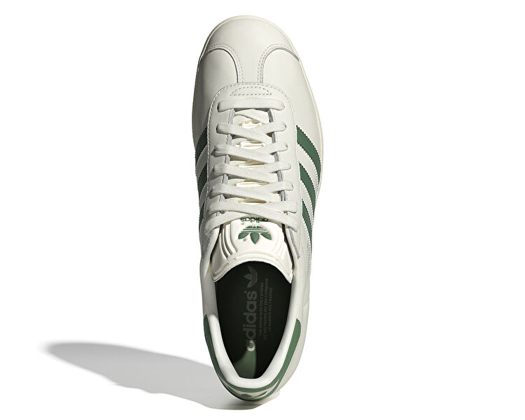 Gazelle