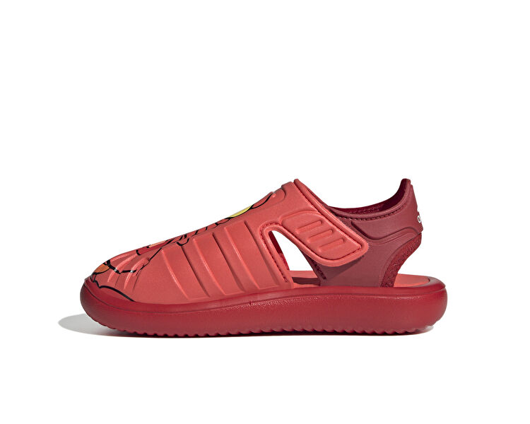 WATER SANDAL SEBASTIAN C