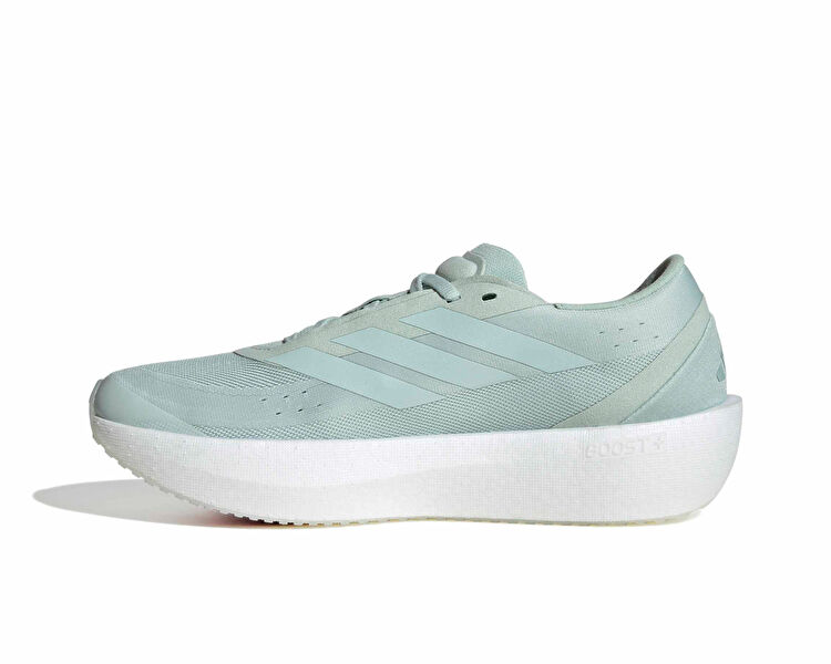 ZENBOOST W