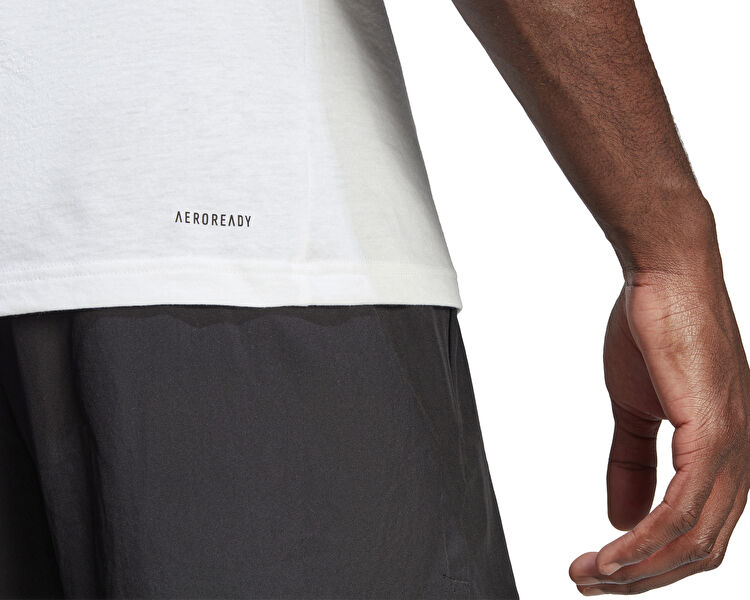 Tr-Es Fr Logo T