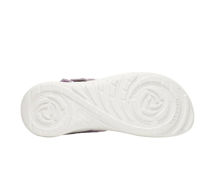 DISTRICT 4 BACKSTRAP