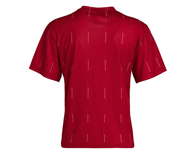 &team tシャツ adidas Erkek Turkiye Tee W Kırmızı JG5698