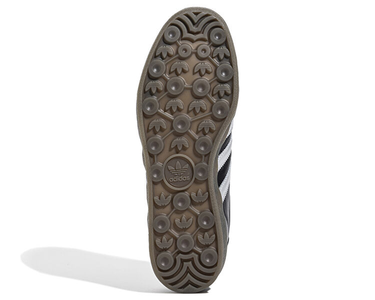 Gazelle Indoor