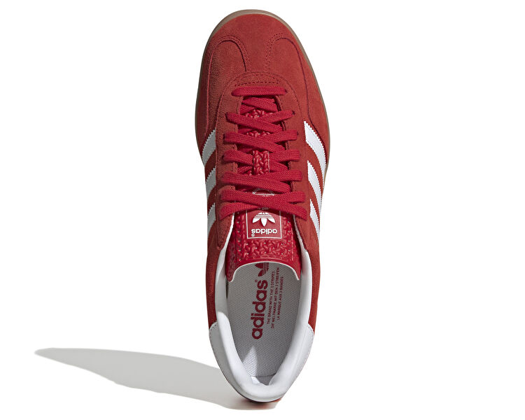 GAZELLE INDOOR
