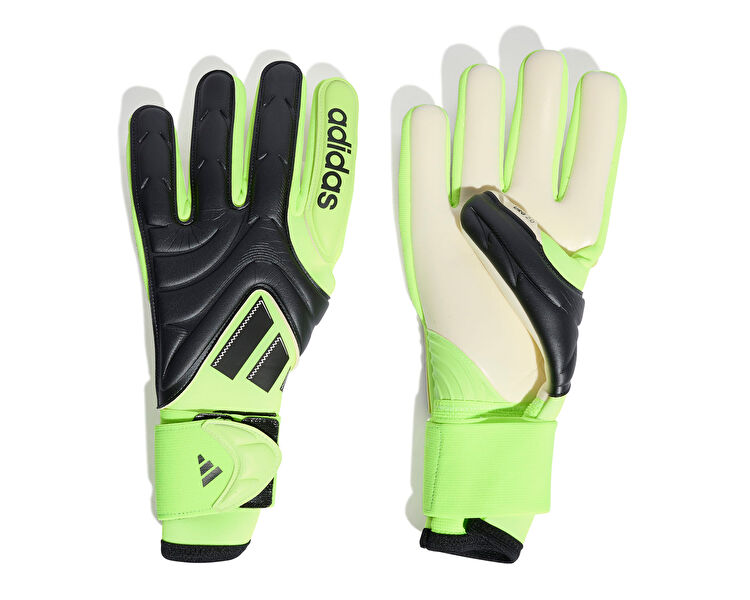 COPA GL PRO